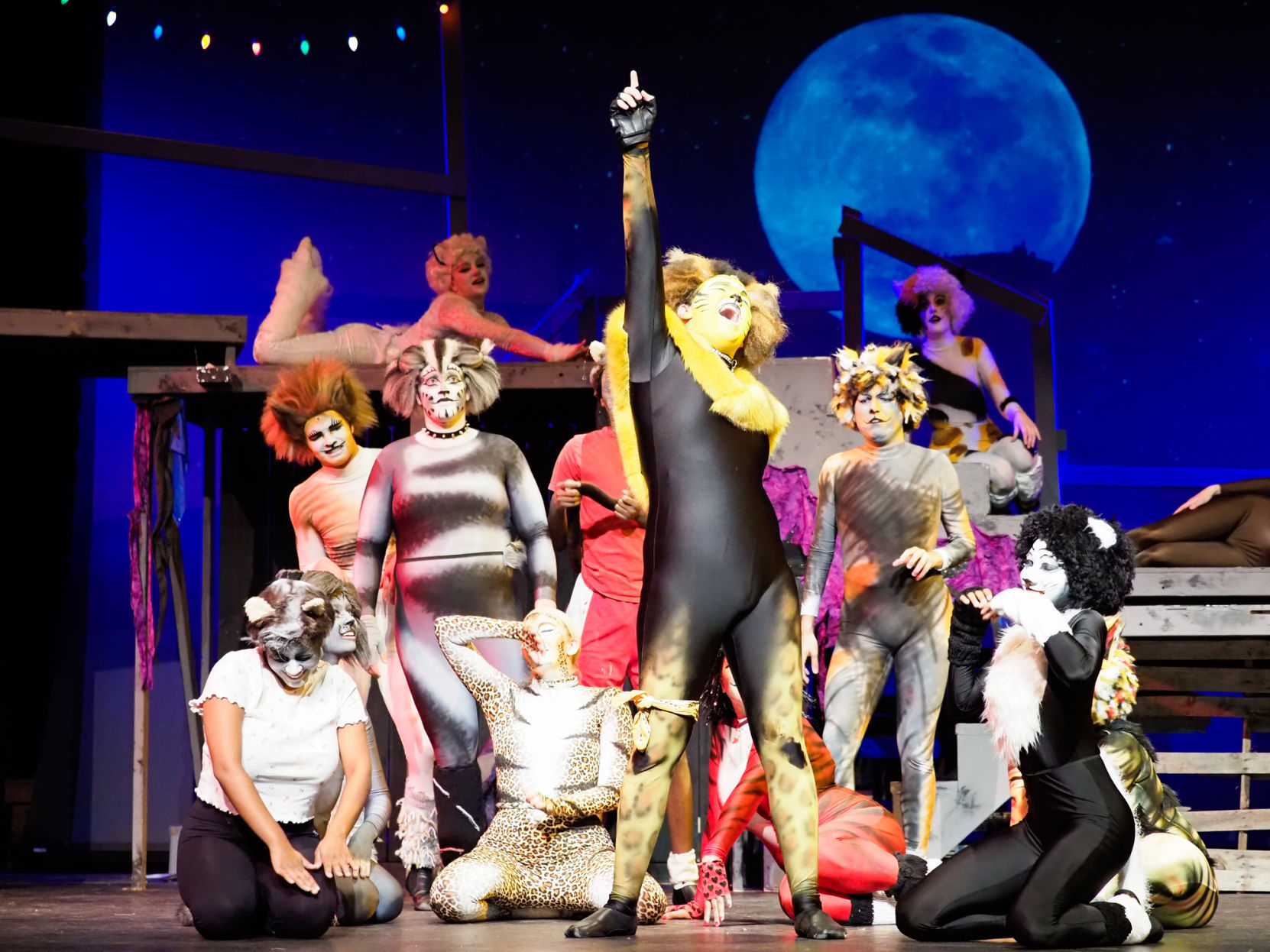 Rum Tum Tugger